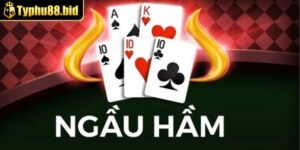 Chia sẻ cách chơi bài ngầu hầm đơn giản ai cũng nắm đươc
