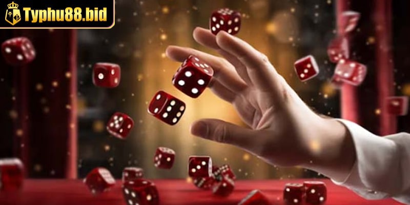 Cách chọn app đánh tài xỉu uy tín nhất Cách chọn app đánh tài xỉu uy tín nhất