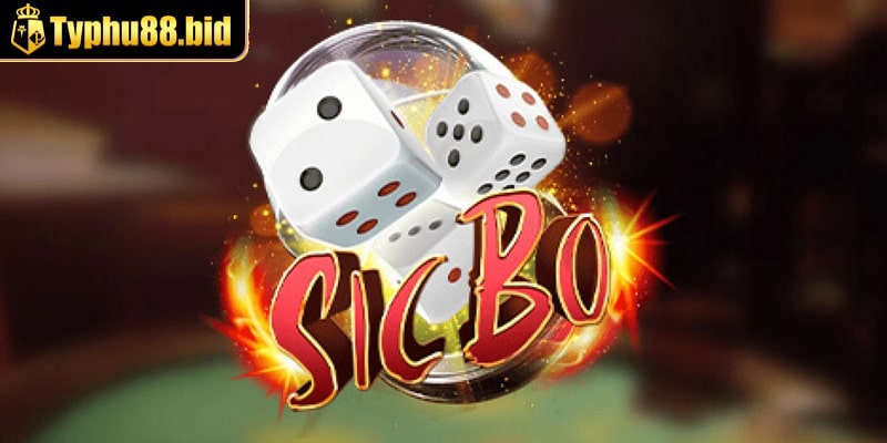 Kinh nghiệm cách chơi sicbo cho tân binh Kinh nghiệm cách chơi sicbo cho tân binh