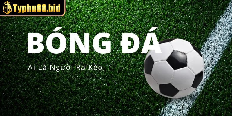 Cách nhà cái ra kèo được tiến hành như thế nào? Cách nhà cái ra kèo được tiến hành như thế nào?